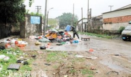 恩平新闻爆料网最新